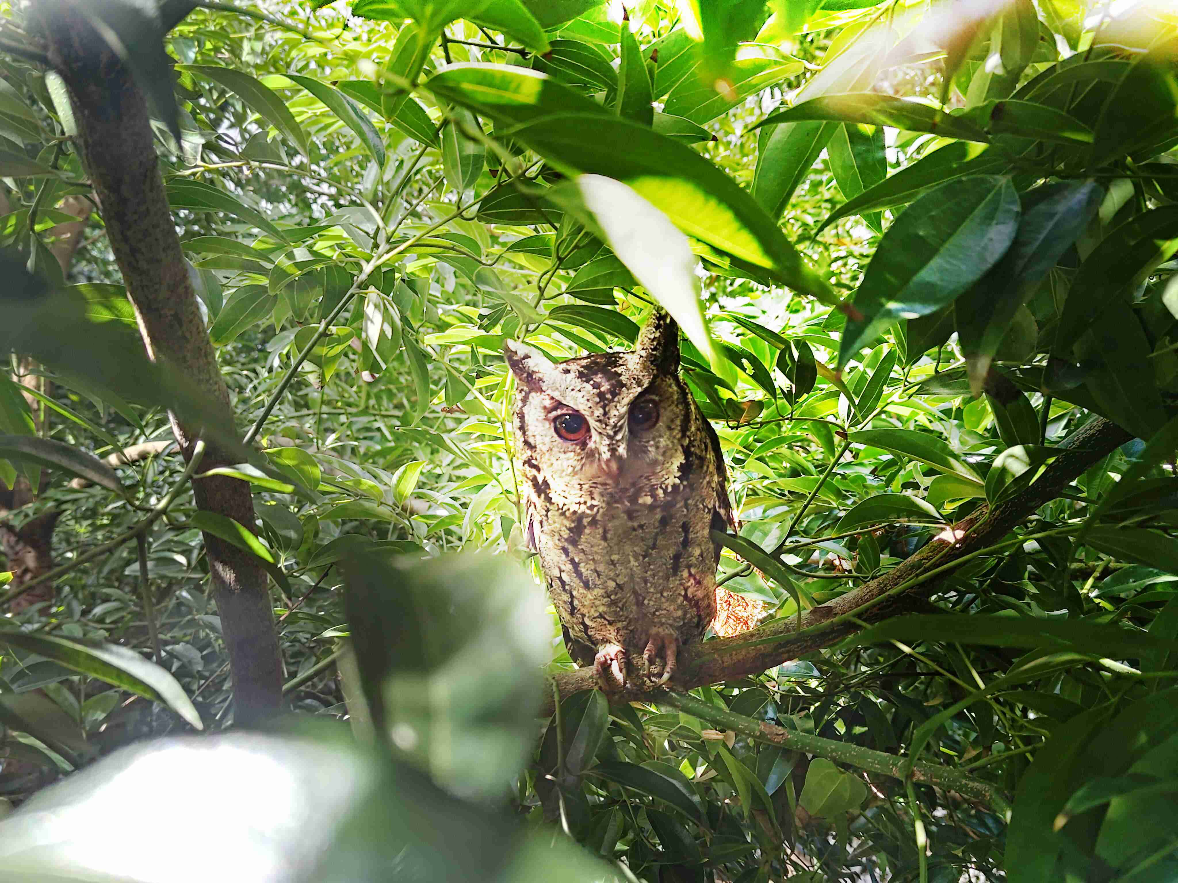 z6mg·人生就是博致力提倡净零绿生活，，，，16年以来在全球各厂区植树逾百万棵，，，造就各厂区树木蔚然成林，，犹如森林工厂，，成为许多生物的栖息地